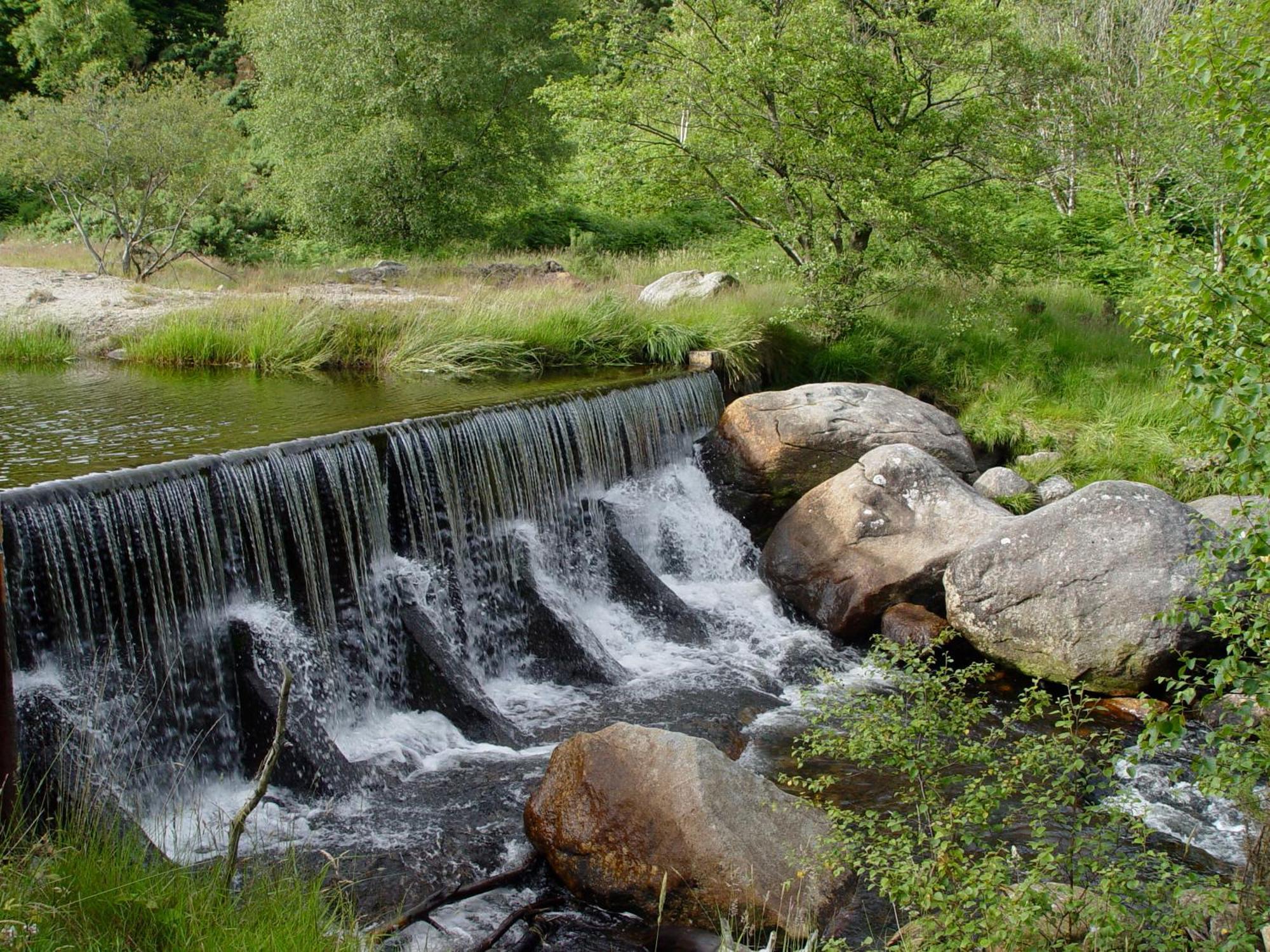 Glendalough International Youth Hostel Laragh Exteriér fotografie The river at the foot of the village
