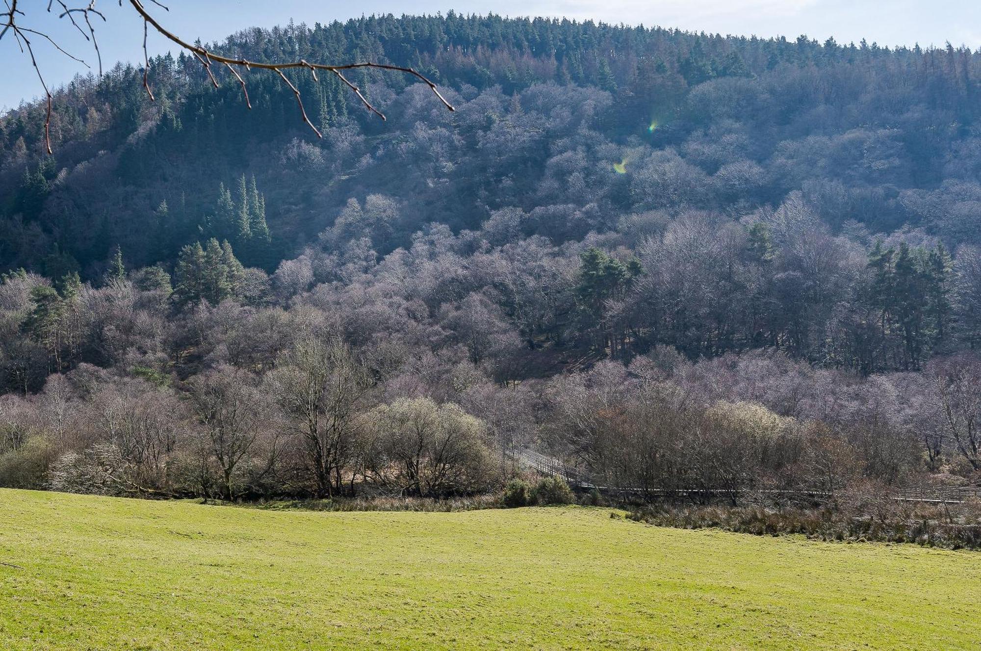 Glendalough International Youth Hostel Laragh Exteriér fotografie
